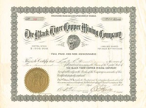 Black Tiger Copper Mining Co.
